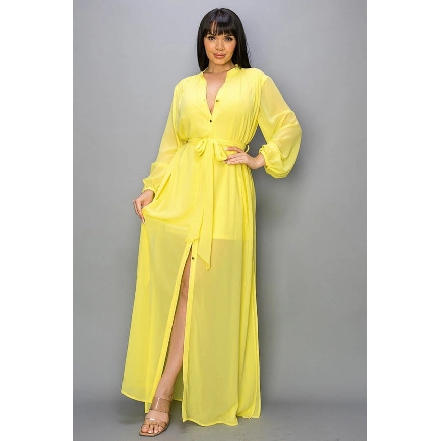 Chiffon Long Sleeve Maxi Dress
