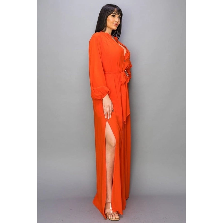 Chiffon Long Sleeve Maxi Dress