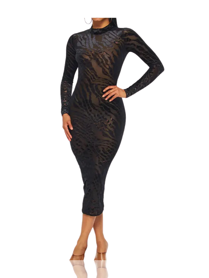 Long Sleeve Sheer Mesh Midi Dress