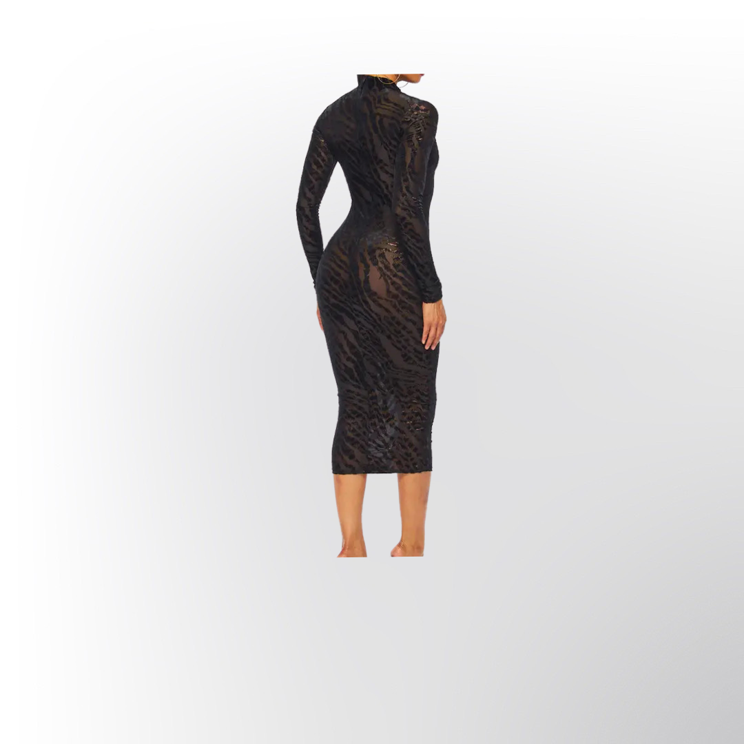 Long Sleeve Sheer Mesh Midi Dress