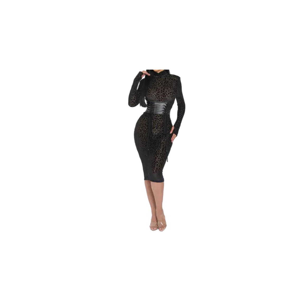 Mesh Velvet Leopard Print Dress