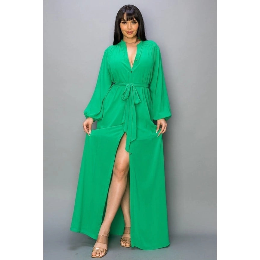 Chiffon Long Sleeve Maxi Dress