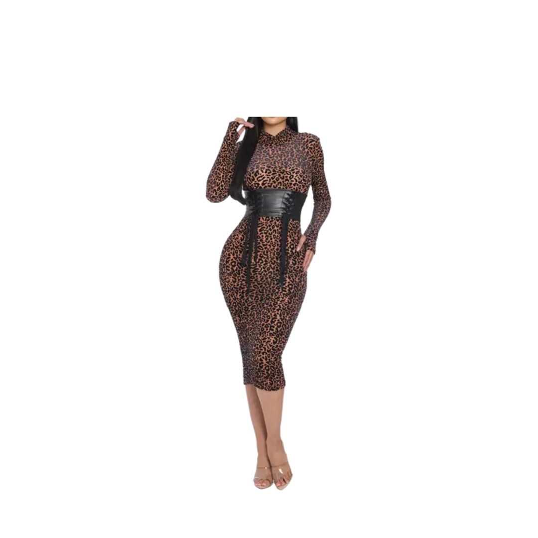 Mesh Velvet Leopard Print Dress