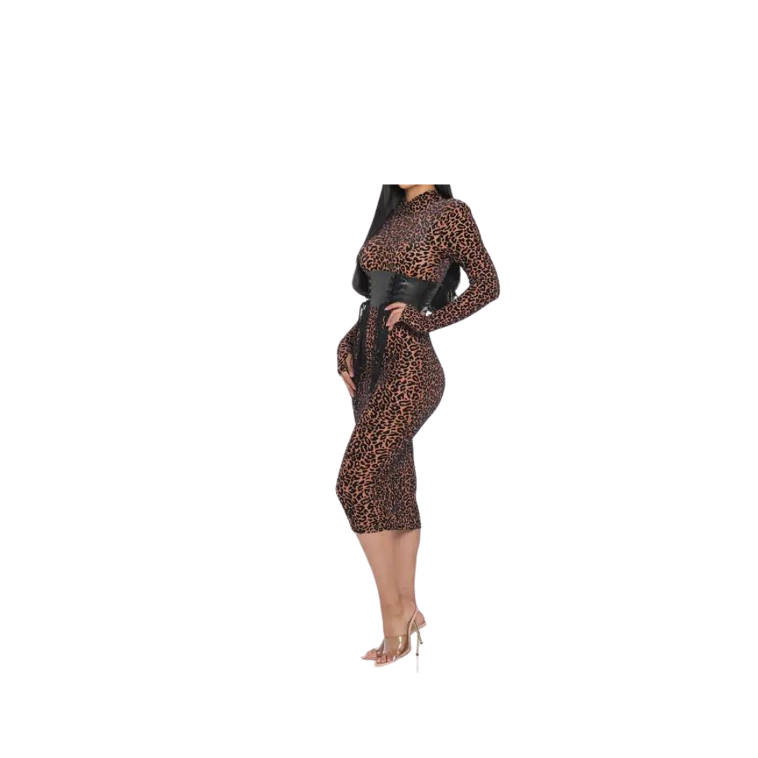Mesh Velvet Leopard Print Dress