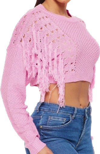 Cropped Fringe Sweater