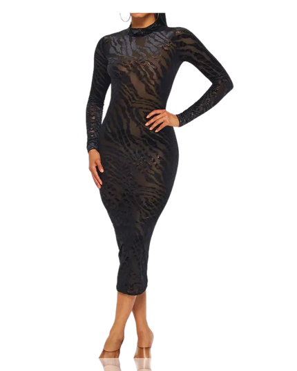 Long Sleeve Sheer Mesh Midi Dress