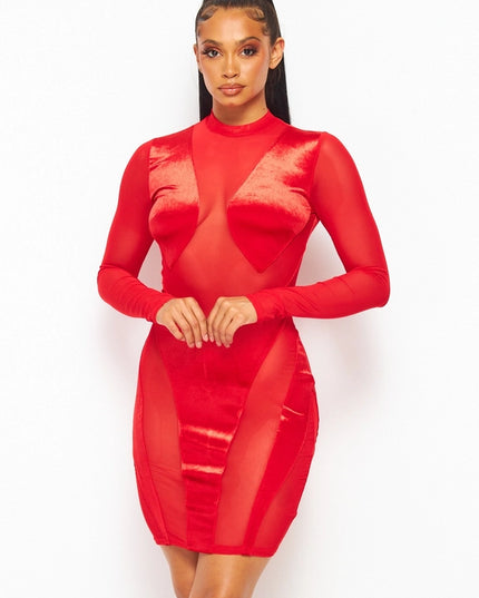 Mesh & Velvet Long Sleeve Mini Dress