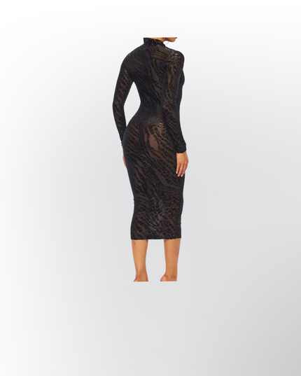 Long Sleeve Sheer Mesh Midi Dress