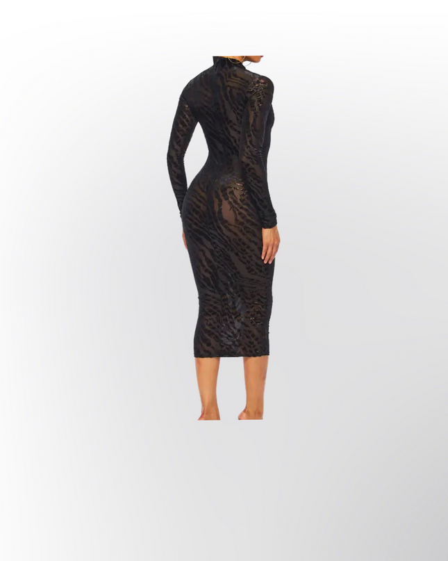 Long Sleeve Sheer Mesh Midi Dress