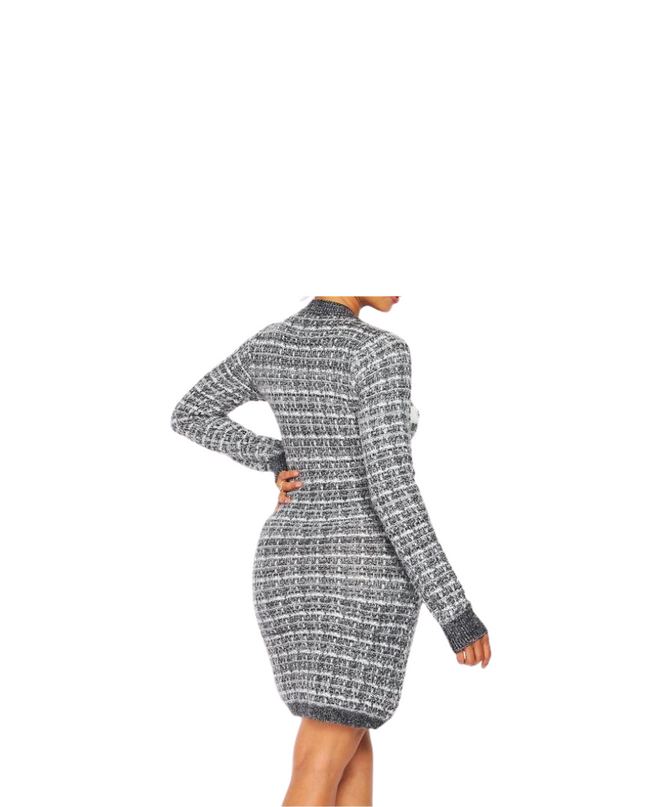 Hillary Long Sleeve Mini Dress
