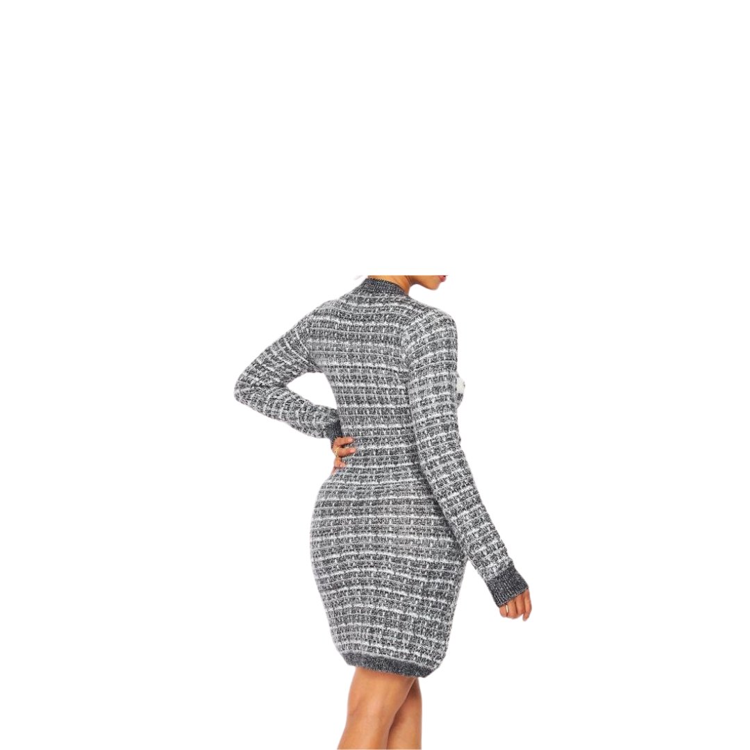 Hillary Long Sleeve Mini Dress