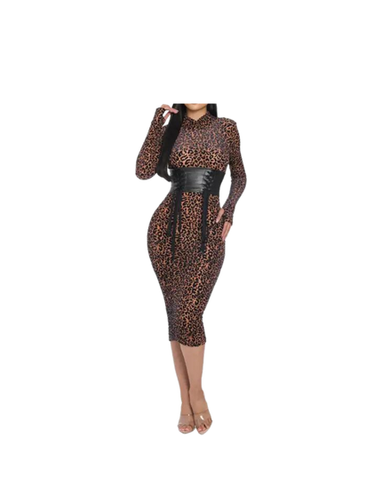 Mesh Velvet Leopard Print Dress