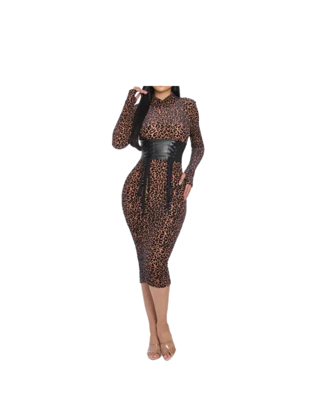 Mesh Velvet Leopard Print Dress