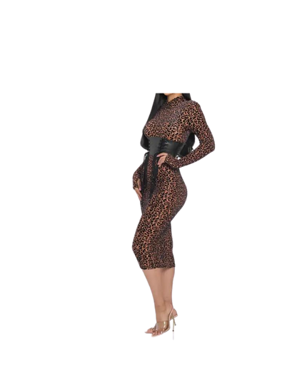 Mesh Velvet Leopard Print Dress