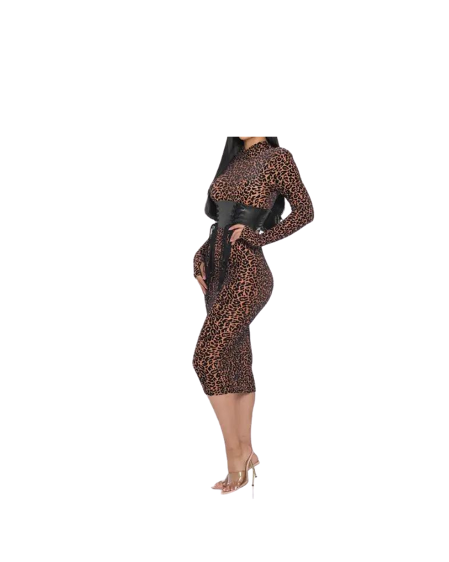 Mesh Velvet Leopard Print Dress